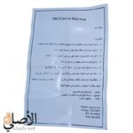 مكواة الشعر برو كارفن - الصورة 3