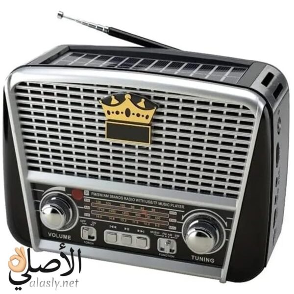 Golon RX-BT455 باللون الاسود و الفضى محمول