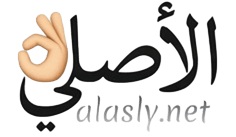 alasly logo