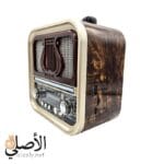 شكل جانبي راديو Golon RX-740D