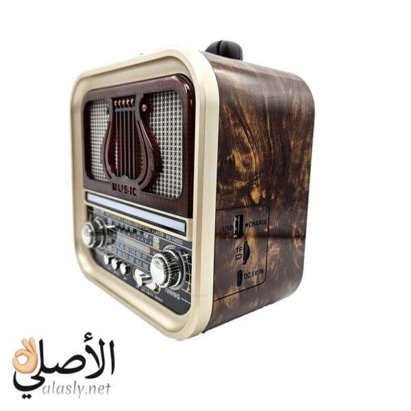 شكل جانبي راديو Golon RX-740D