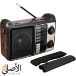 مؤشر التردد في راديو Golon RX-333